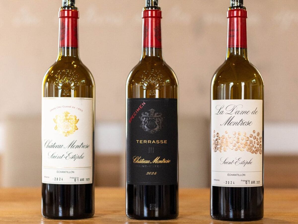 Vang Saint-Estephen của Bờ Trái Bordeaux