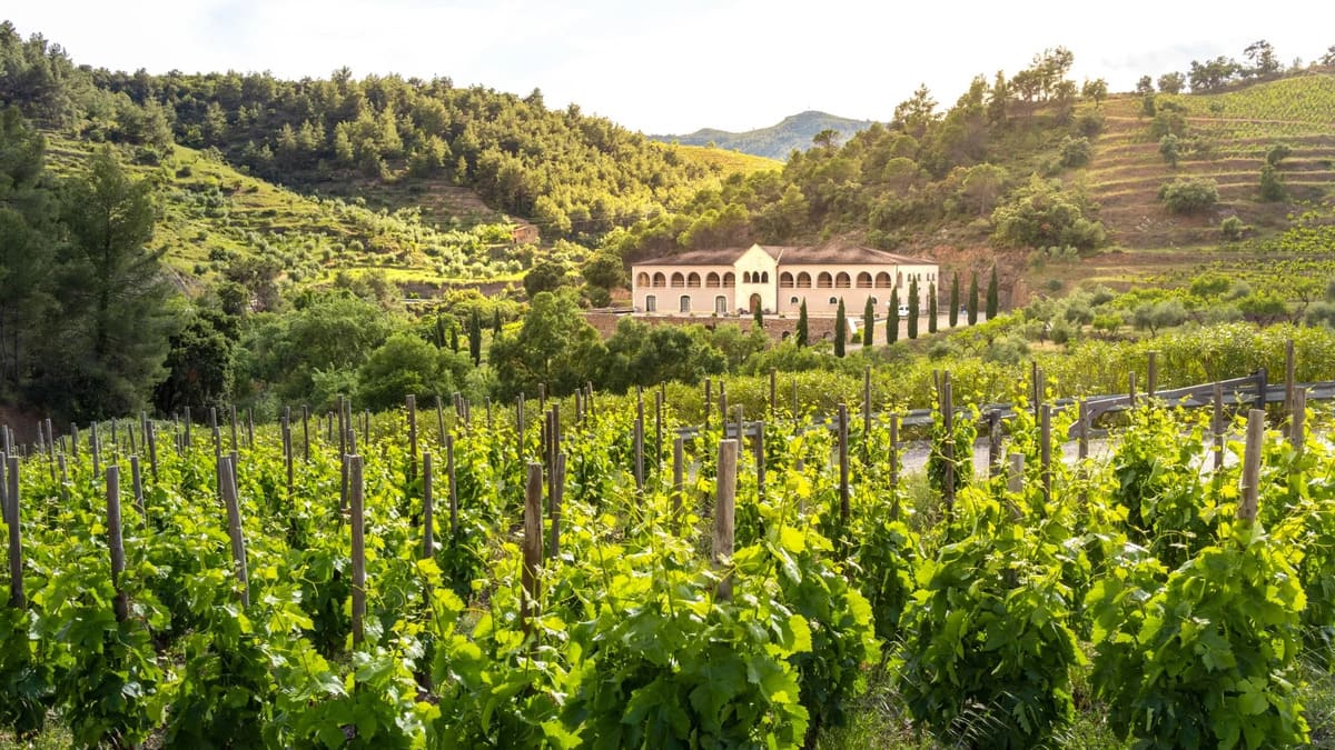 Terroir của vùng Catalunya