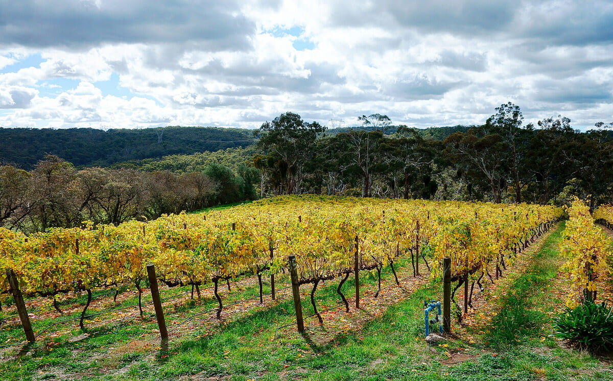 Điều kiện tự nhiên vùng South Australia