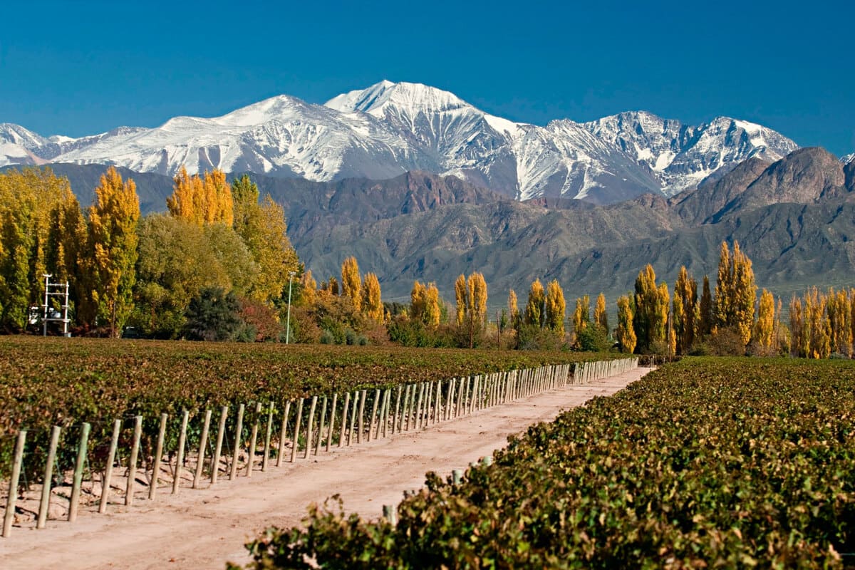 Khí hậu vùng Uco Valley 