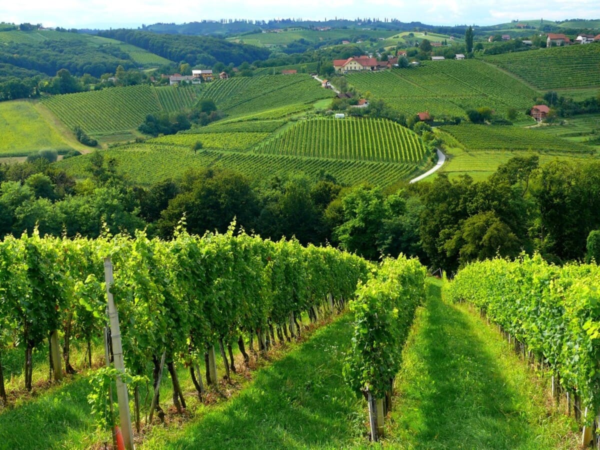 Terroir đặc trưng của Bờ Trái Bordeaux 