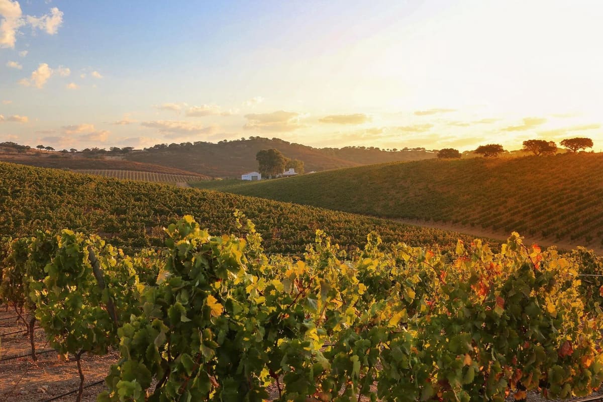 Điều kiện tự nhiên vùng Alentejo