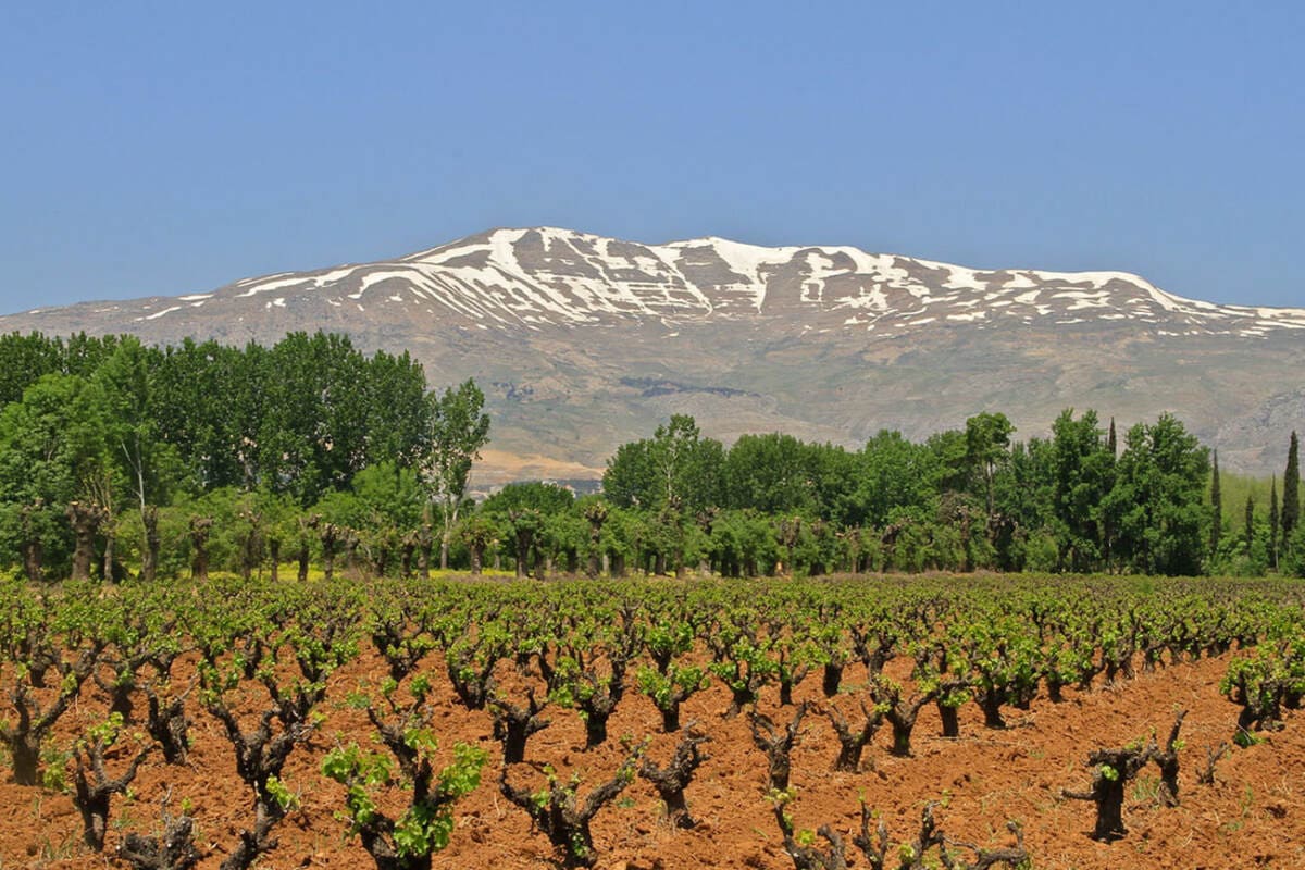 Thổ nhưỡng vùng Bekaa Valley
