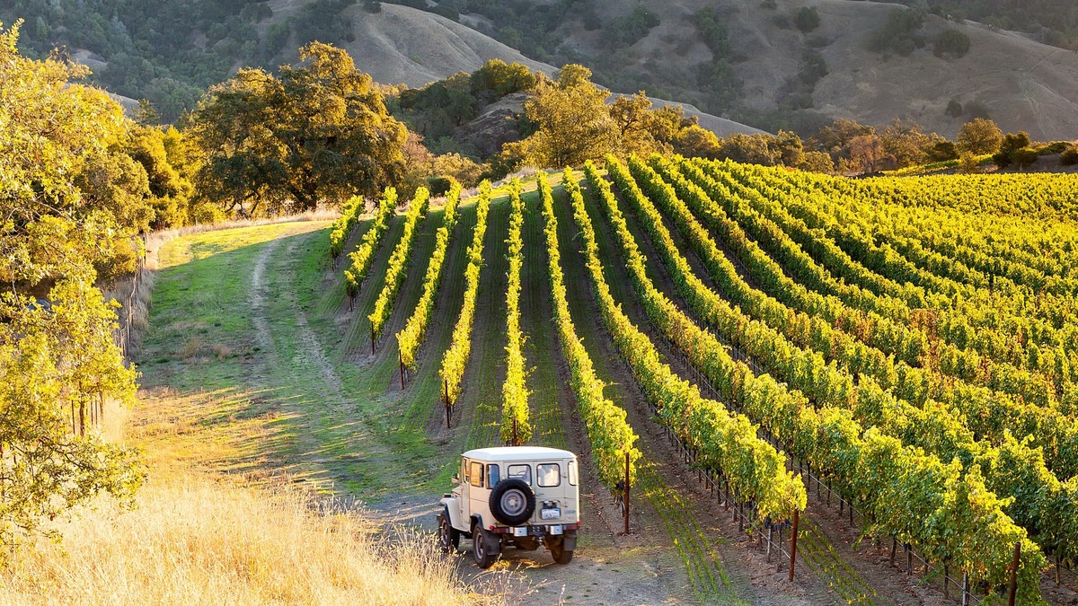 Thổ nhưỡng vùng Sonoma County