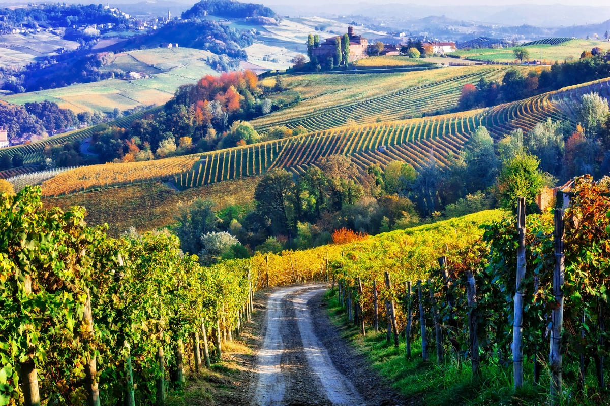 Điều kiện tự nhiên vùng Barolo