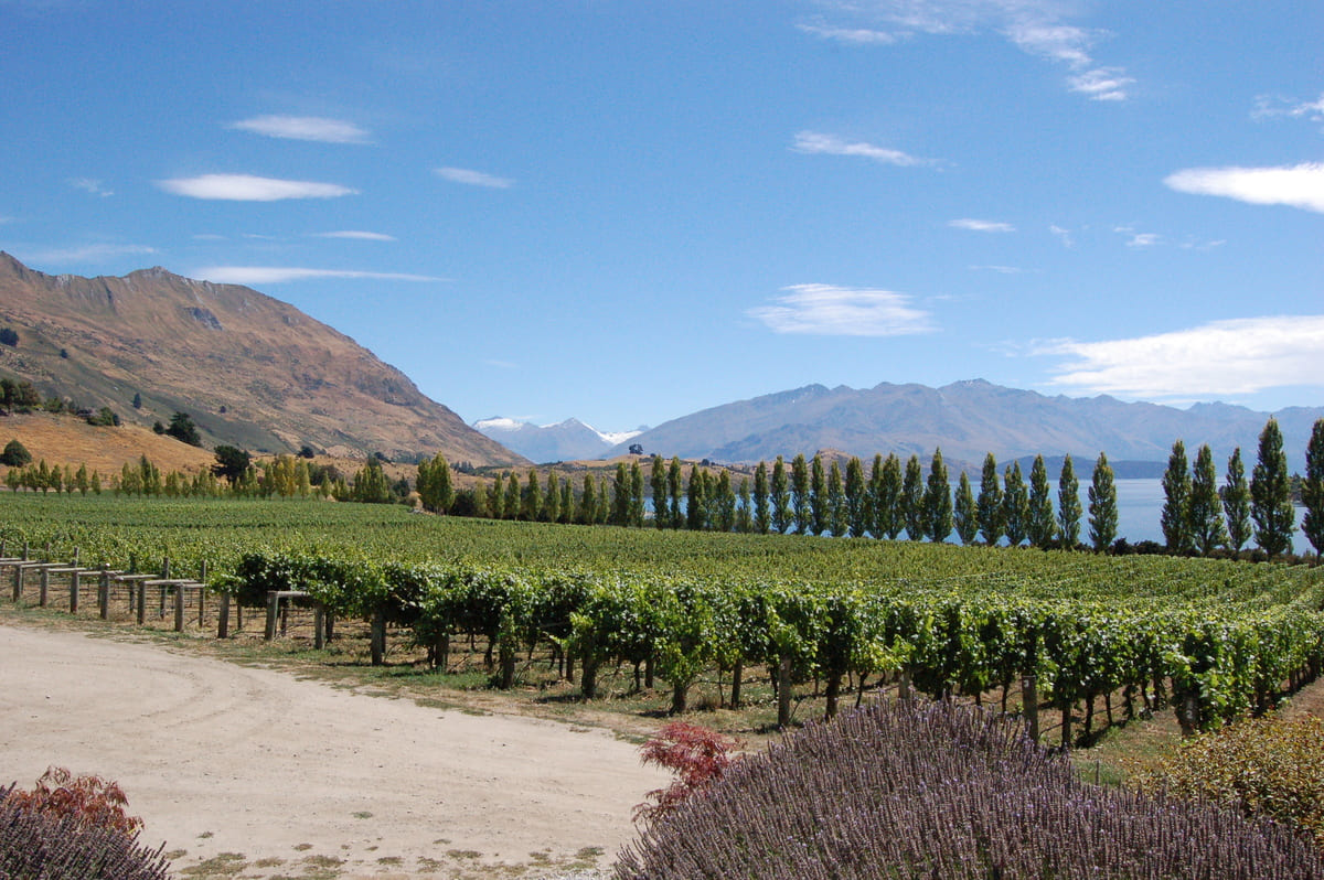 Điều kiện tự nhiên của vùng Central Otago