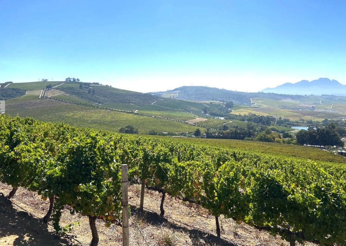 Thổ nhưỡng đa dạng tại Stellenbosch