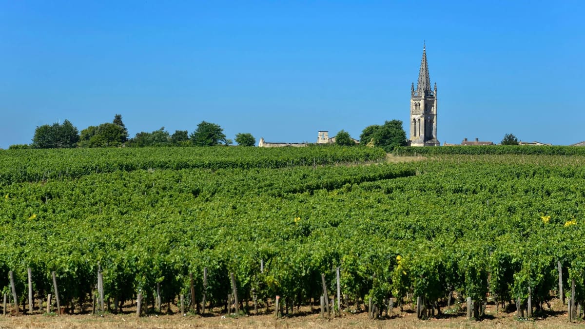 Thổ nhưỡng đặc trưng vùng Pomerol