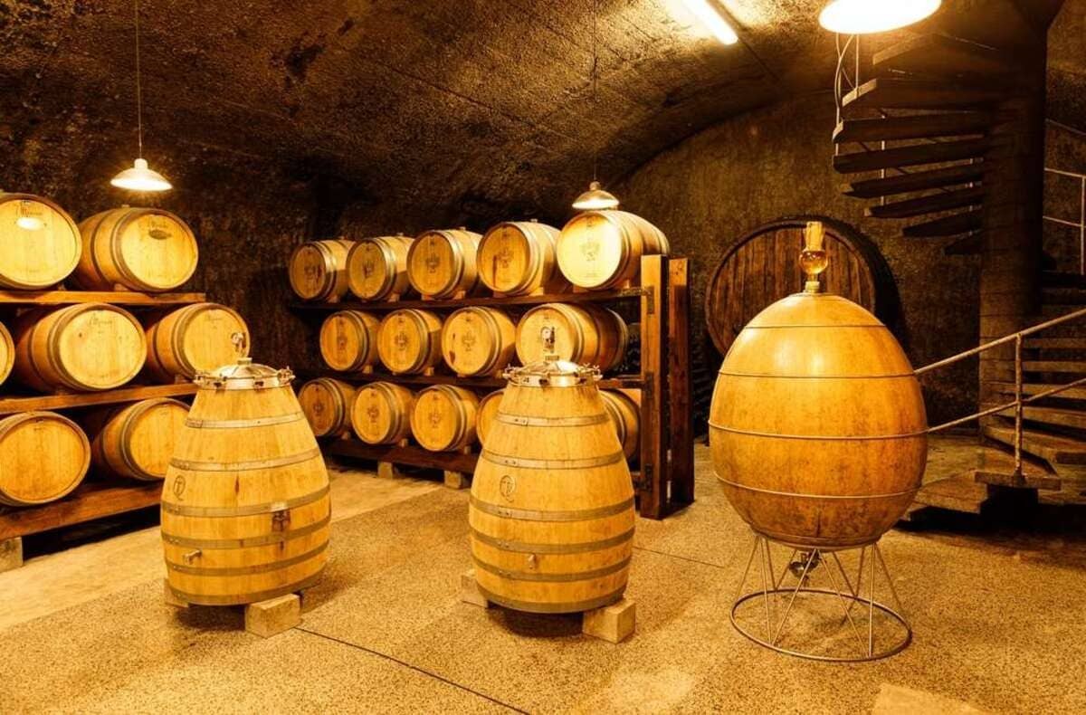 Ủ vang trắng Chablis trong thùng gỗ sồ