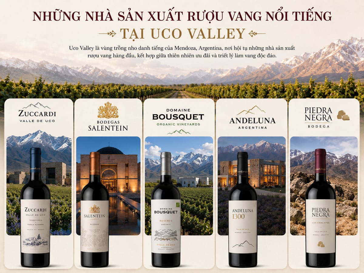 Nhà sản xuất rượu vang tại Uco Valley