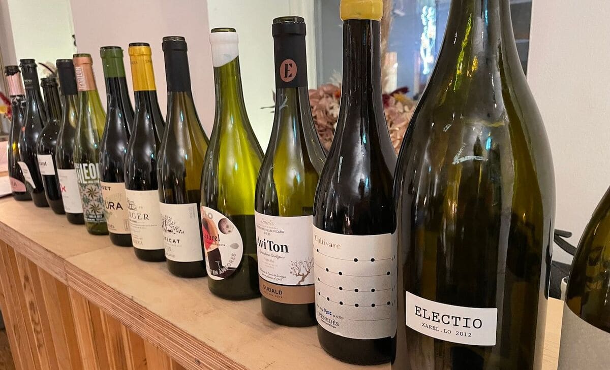 Rượu vang Penedès vùng Catalunya