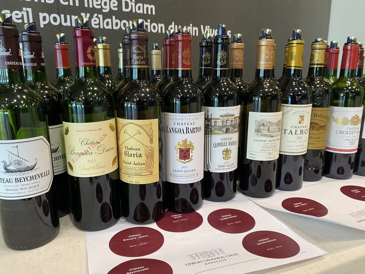 Rượu vang tiểu vùng Saint-Julien AOC