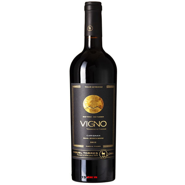 Rượu Vang Chile Miguel Torres Vigno Carignan
