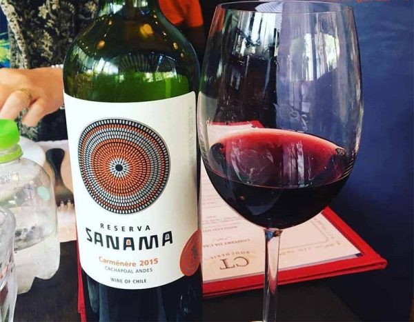 02-chile-sanama-carmenere Rượu Vang Sanama Carmenere