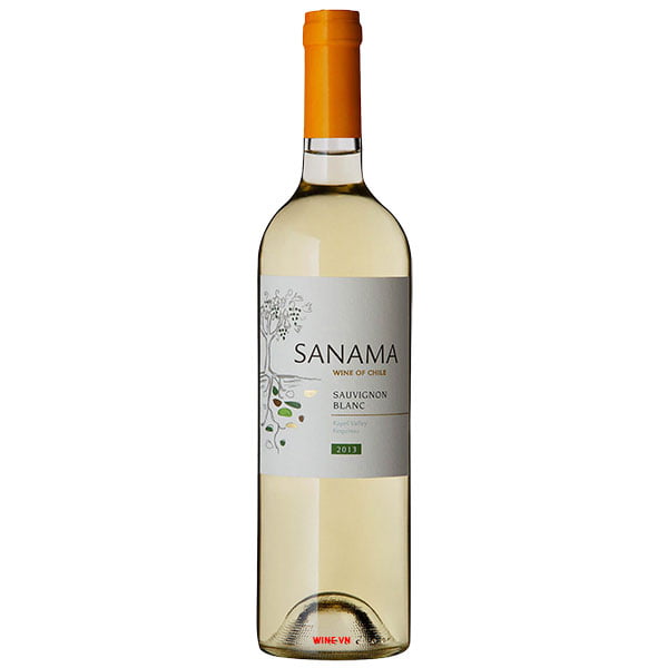 Rượu Vang Chile Sanama Sauvignon Blanc