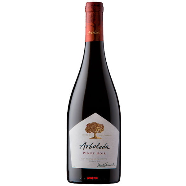 Rượu Vang Chile Arboleda Pinot Noir