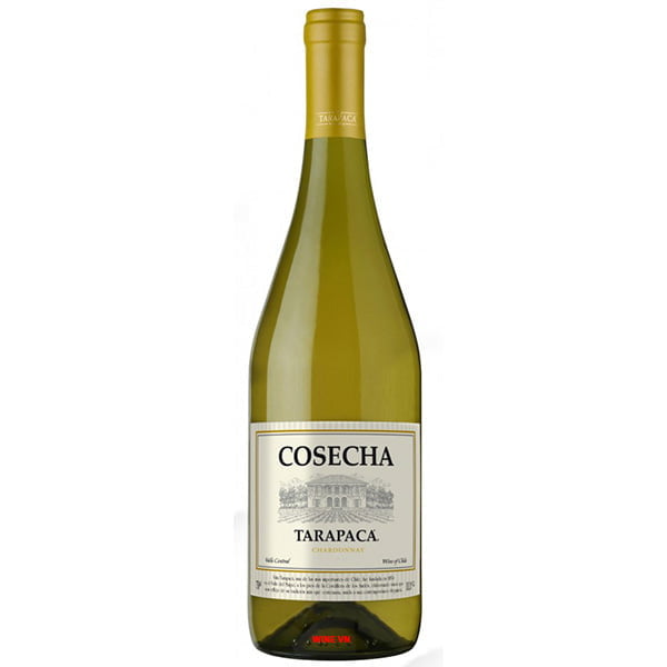 Rượu Vang Trắng Tarapaca Cosecha Chardonnay