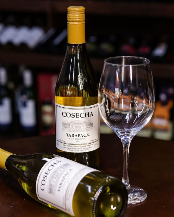 Rượu Vang Tarapaca Cosecha Chardonnay