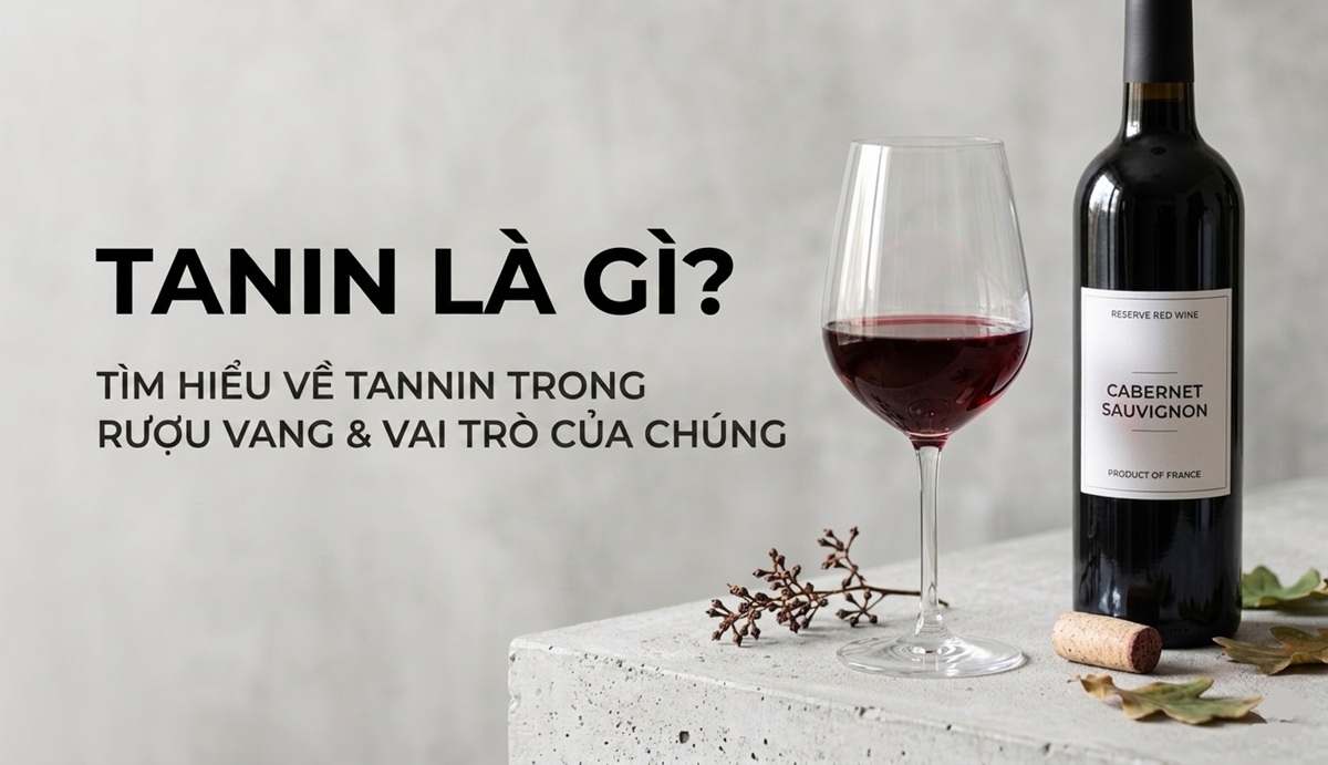 Tannin trong rượu vang là gì