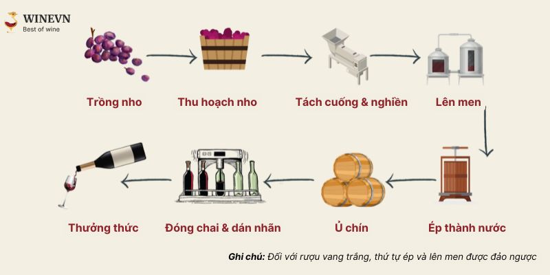 Quy trình sản xuất rượu vang là gì