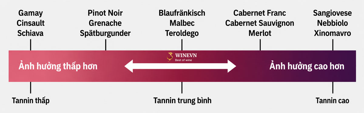 Rượu vang tannin trung bình