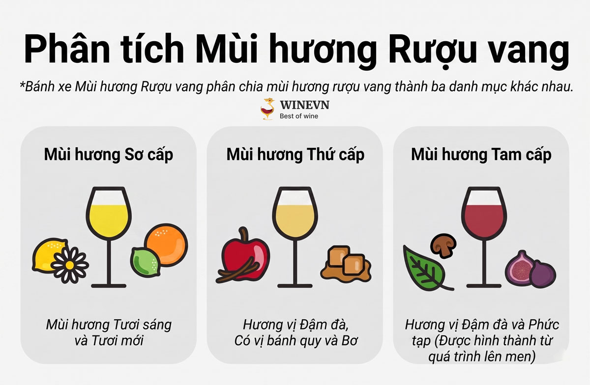 Các tầng hương trong rượu vang