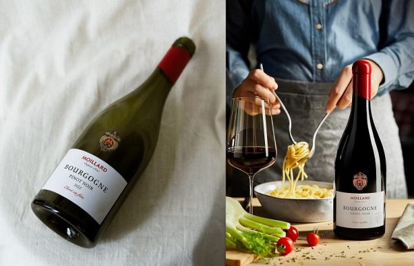 Vang Moillard Bourgogne Pinot Noir