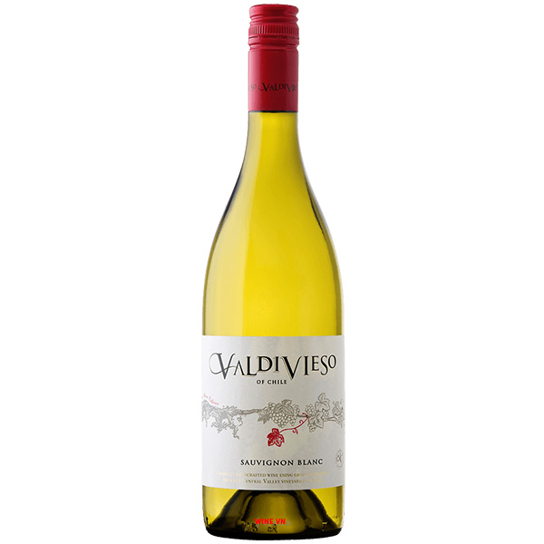 Rượu Vang Trắng Valdivieso Sauvignon Blanc