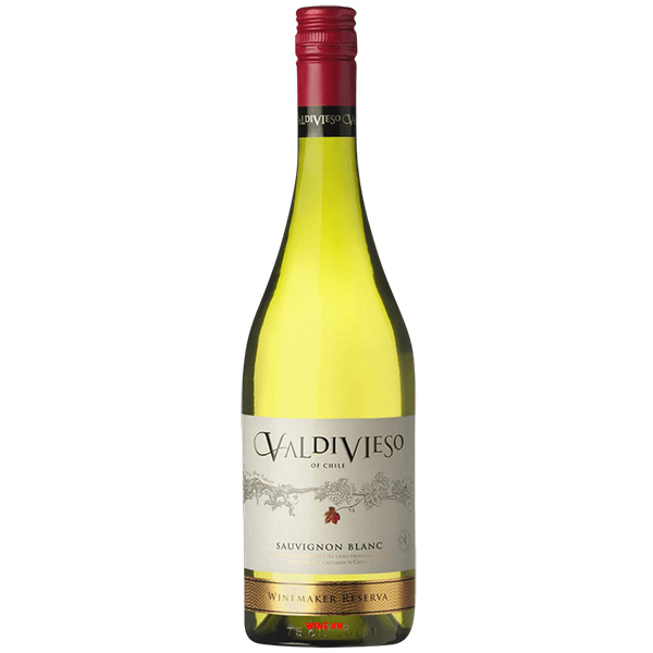 Rượu Vang Valdivieso Winemaker Reserva Sauvignon Blanc