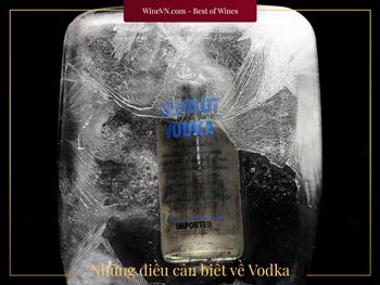 những điều cần biết về Vodka thumbnail