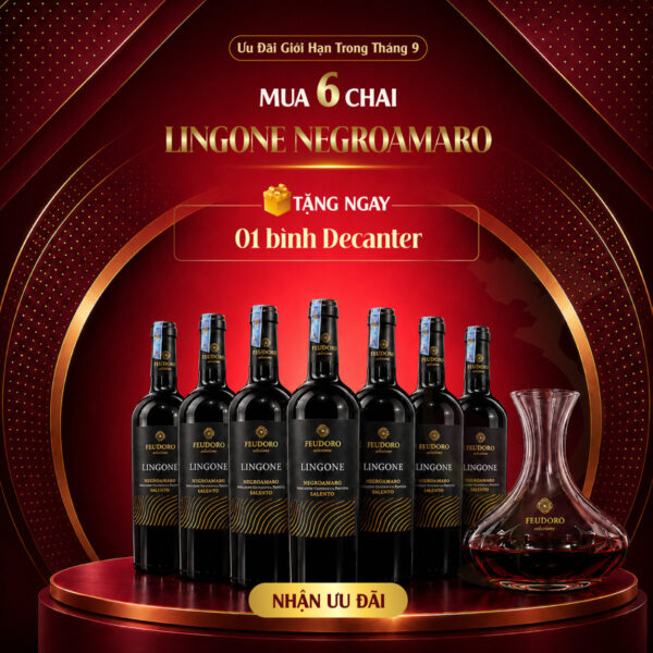 Ưu đãi Lingone Negroamaro