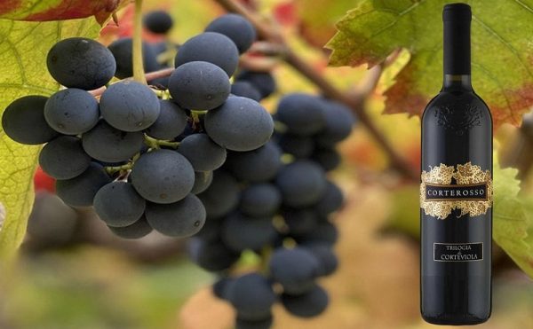 ruou-vang-montepulciano-dabruzzo-riserva-2