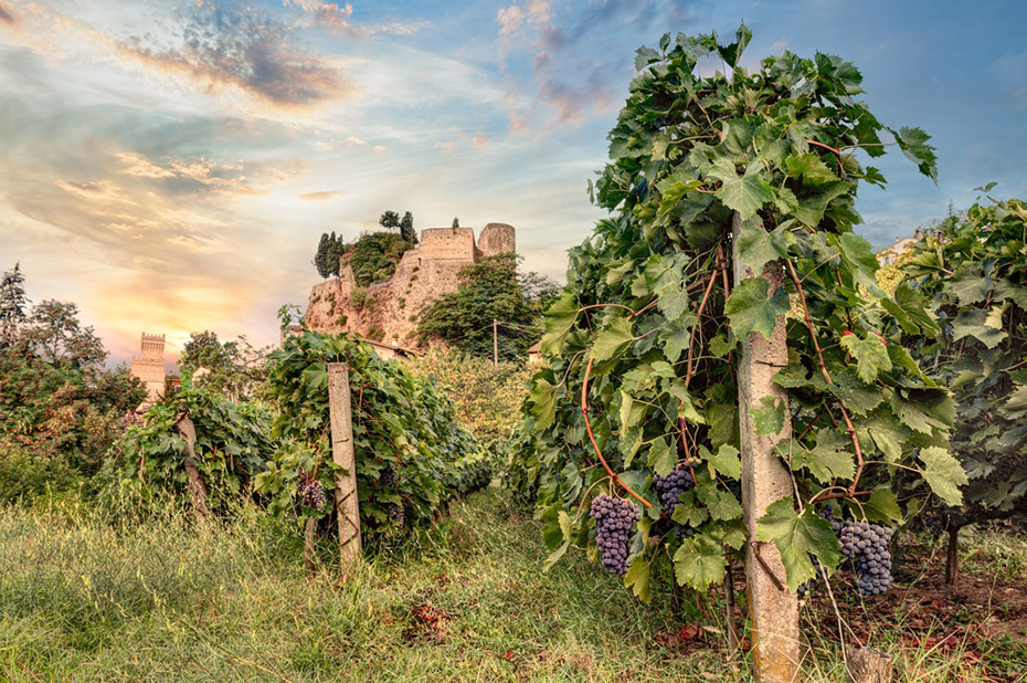 Vùng Rượu Vang Emilia – Romagna