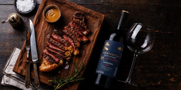Ventisquero Peninsula Limited Edition Carmenere
