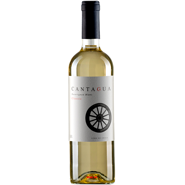 Rượu Vang Cantagua Sauvignon Blanc