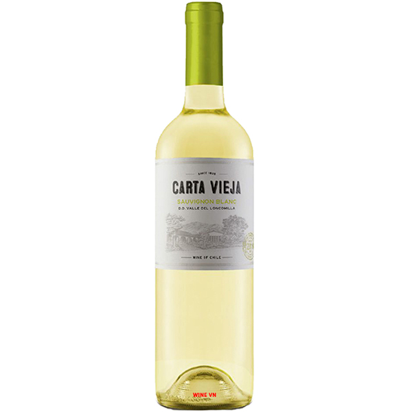 Rượu Vang Carta Vieja Sauvignon Blanc