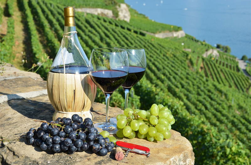Ý là quốc gia sản xuất nhiều rượu vang nhất thế giới