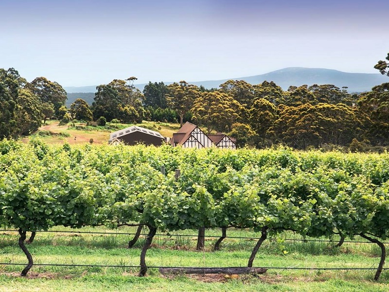 Vùng Great Southern