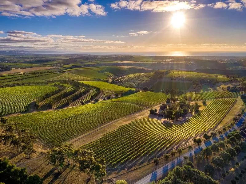 Vùng McLaren Vale