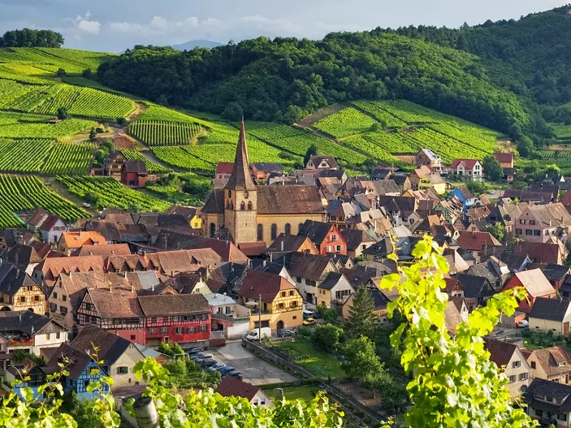 Alsace (Pháp)