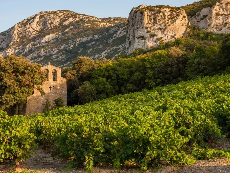 Vùng Languedoc