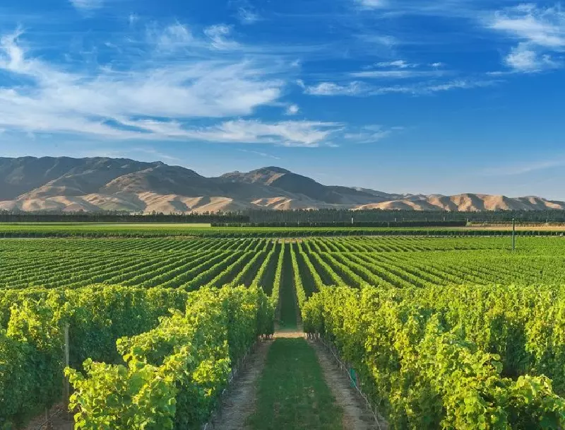 Marlborough (New Zealand)