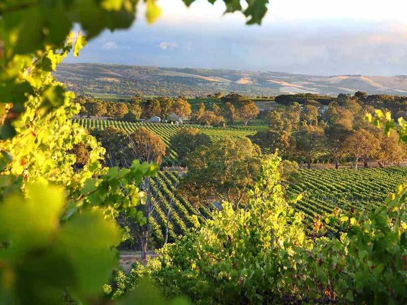 Vùng SouthAustralia