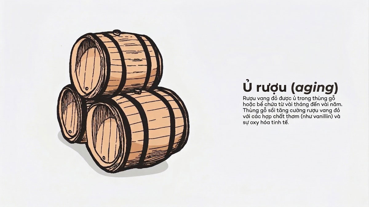 Ủ rượu vang trong quy trình sản xuất