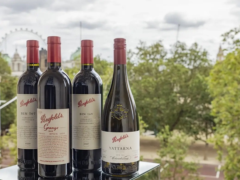 Các chai rượu vang Úc Penfolds ngon