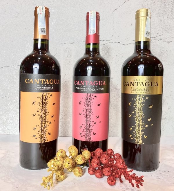 rượu cantagua