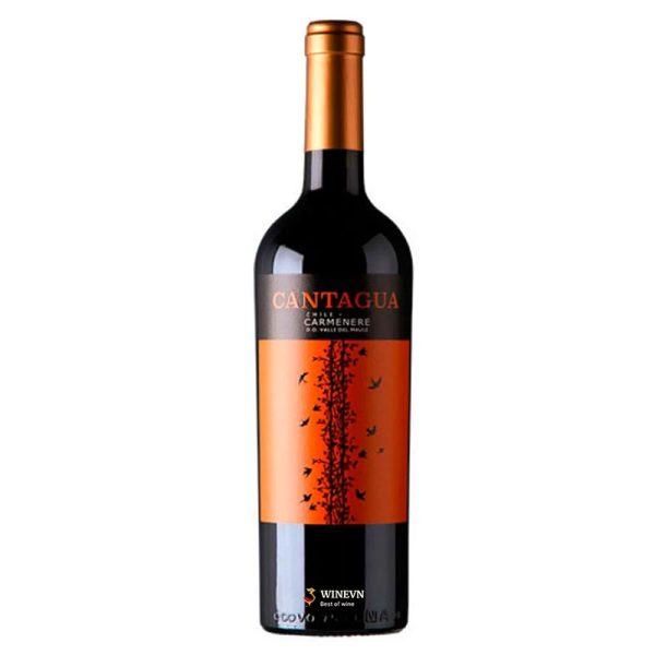Rượu Vang Cantagua Carmenere