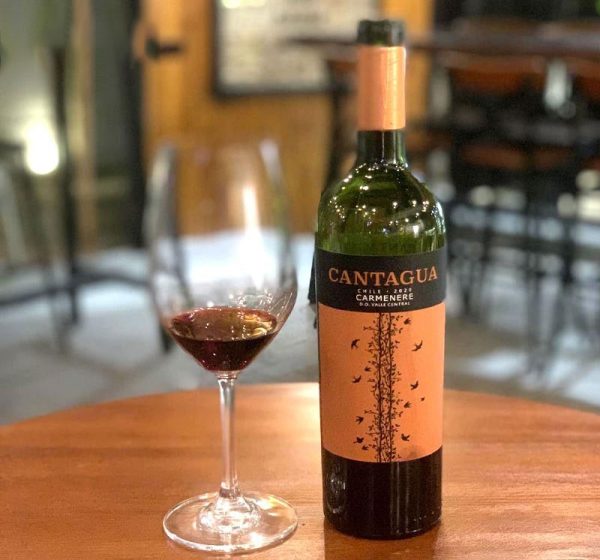 Vang Cantagua Carmenere