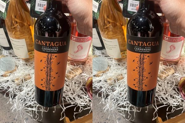 Cantagua Carmenere