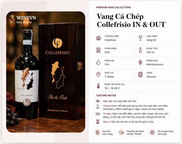 Thông tin rượu vang Collefrisio IN & OUT